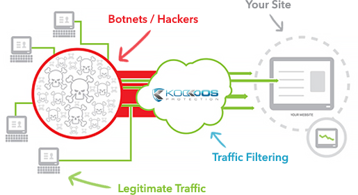 DDoS protection schema